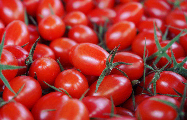 ミニトマトの写真